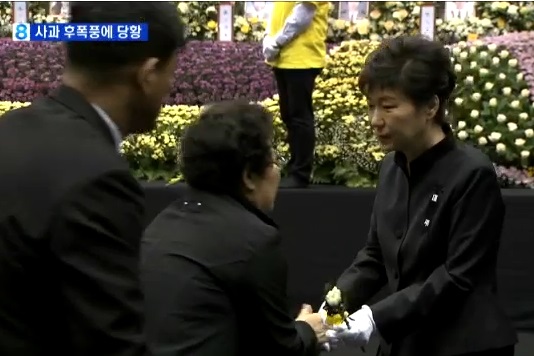 '박근혜 대통령 할머니 논란' / 사진=MBN
