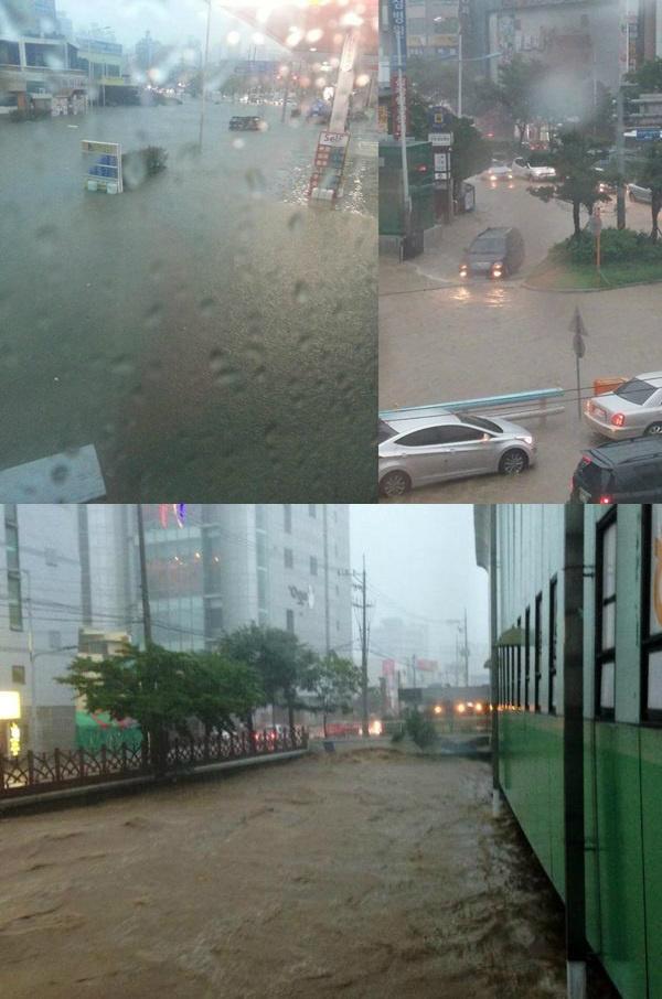 부산/ 사진=부산경찰 트위터