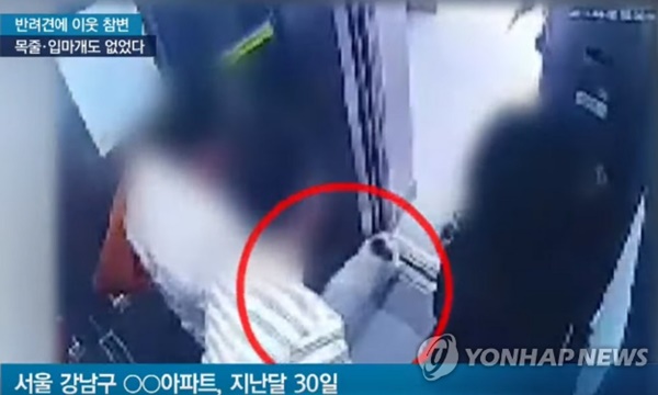 녹농균 / 사진= 연합뉴스
