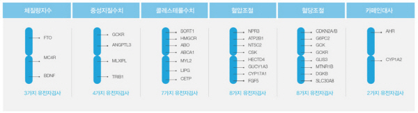 유전자 건강체크 항목1