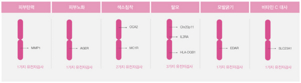 유전자 건강체크 항목2