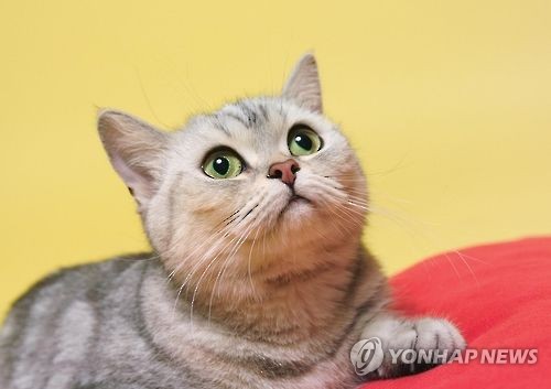 사진 = 연합뉴스