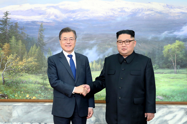 악수하는 문재인 대통령과 김정은 국무 위원장/사진=MBN
