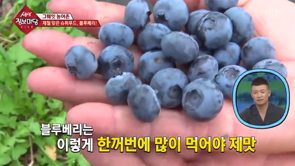 블루베리/사진=MBN