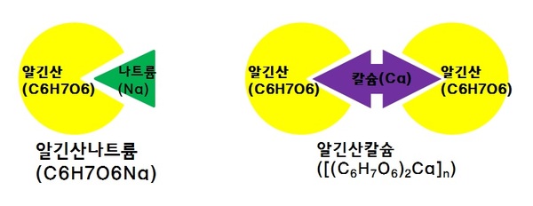 분자모형/ 사진=MBN