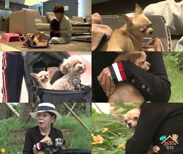 MBN /사진=MBN
