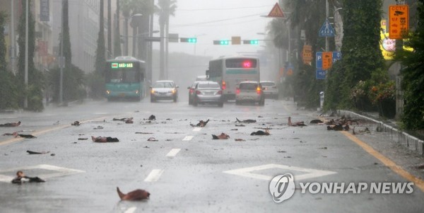 태풍 진로/사진=연합뉴스