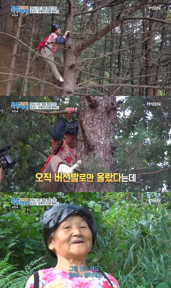 나무 타는 할머니 /사진=MBN