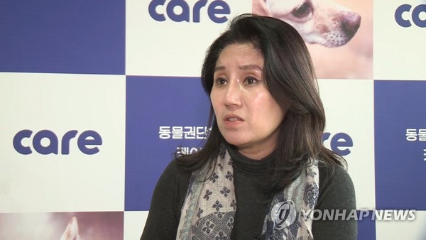 박소연 안락사 논란/사진=연합뉴스