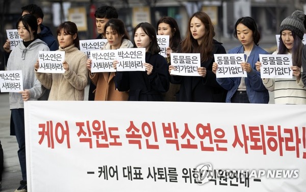 박소연 안락사 논란/사진=연합뉴스
