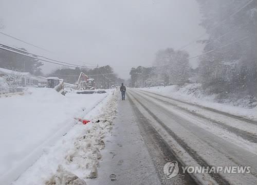 미국 눈폭풍/사진=연합뉴스
