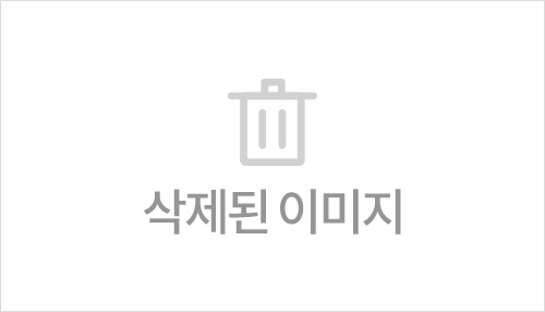 헤나 염색 부작용/사진=연합뉴스