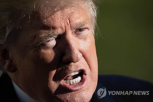 도널드 트럼프 미국 대통령/사진=연합뉴스