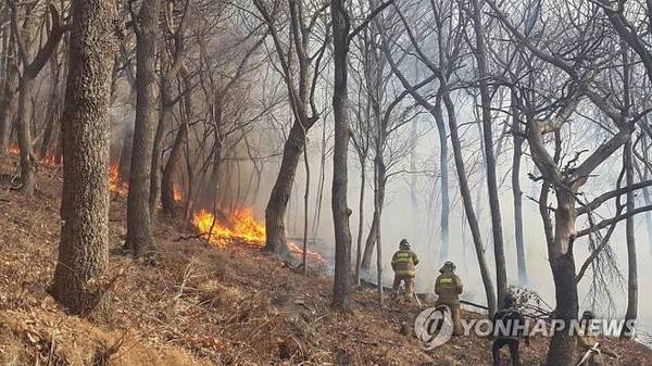 진화작업 하는 소방대원들 /사진=연합뉴스