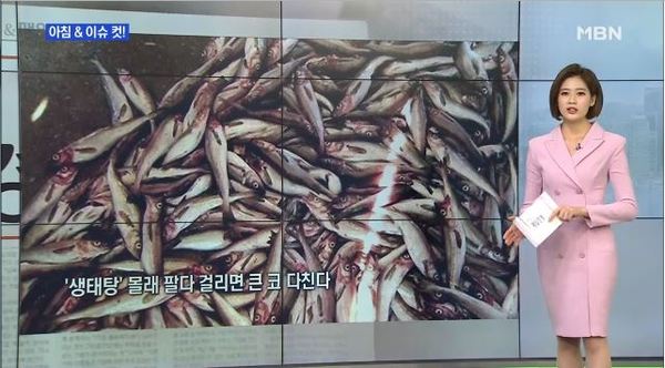 생태탕 판매 금지/사진=MBN