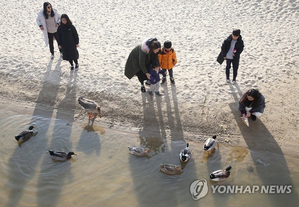 포근한 동해안, 추암 해변 찾은 행락객 /사진=연합뉴스