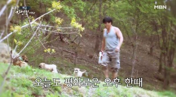 나는 자연인이다 /사진=MBN