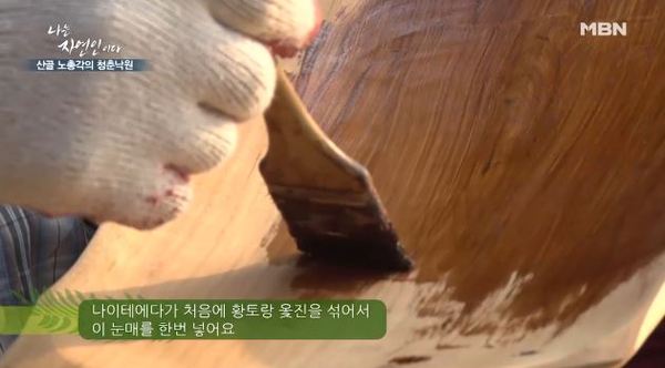 나는 자연인이다 /사진=MBN