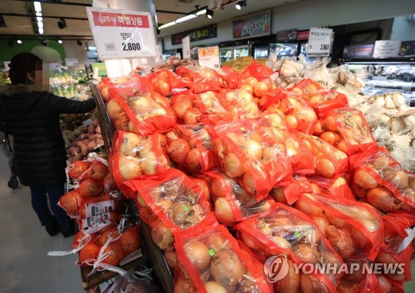 양파 가격 하락 /사진=연합뉴스