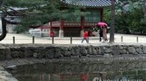 내일 전국 흐리고 빗방울…제주도 많은 비에 천둥·번개