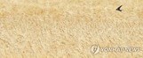 제주 산지·남부 '호우주의보'…모레까지 최고 200㎜ 이상 폭우