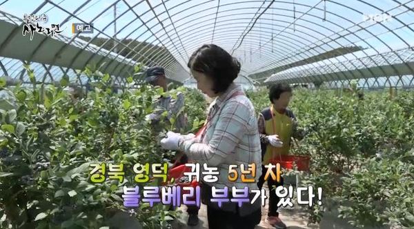 사노라면 /사진=MBN