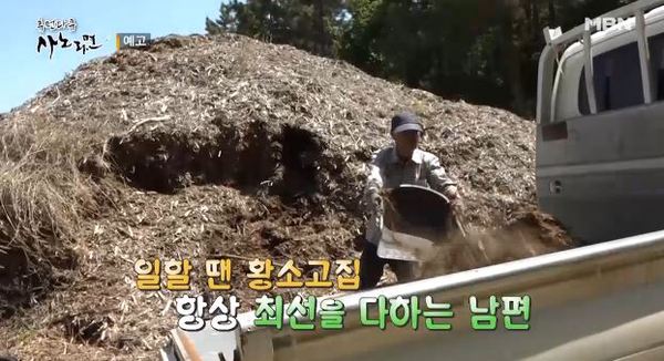 사노라면 /사진=MBN