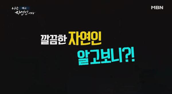 나는 자연인이다 /사진=MBN