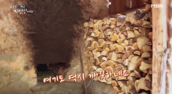 나는 자연인이다 /사진=MBN