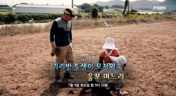 MBN '사노라면' /사진=MBN