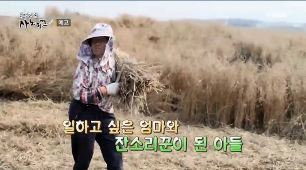 MBN '사노라면' /사진=MBN