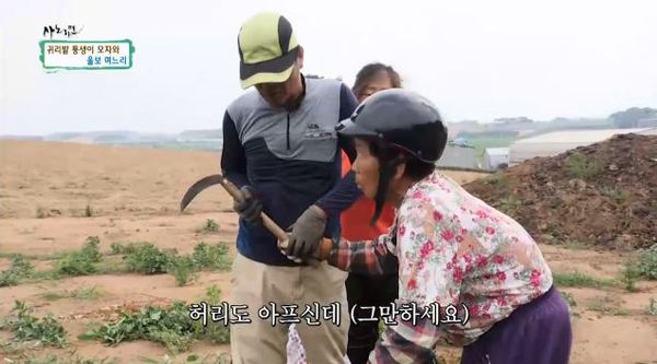 '휴먼다큐 사노라면' 386회 /사진=MBN