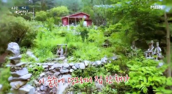 '나는 자연인이다' /사진=MBN