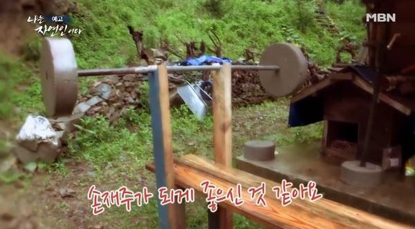 '나는 자연인이다' /사진=MBN