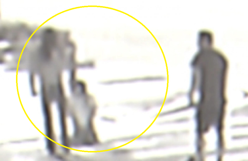 강남 한복판서 온 가족이 딸 폭행…아빠는 동부구치소 