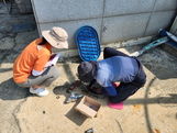 썸네일 이미지