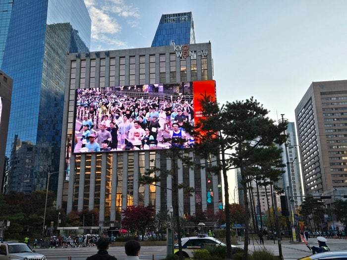 MBN 서울 마라톤 관련 뉴스 - 3만 명이 달린다…광화문에서 힘찬 출발 [MBN 서울마라톤]