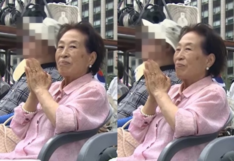 민주당 유세 돕던 배우 전원주, 이번엔 전한길의 보수 단체 집회서 포착