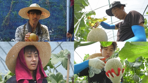 삼시세끼 측 4인방 갈비찜 위해 굉장한 노동 유종의 미 거둔다