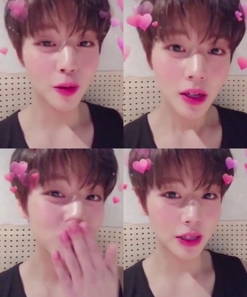 워너원 박지훈 발렌타인데이 인사 전해 사진=워너원 공식 인스타그램