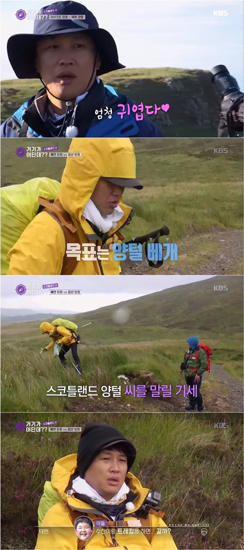 거기가 어딘데 차태현 사진=거기가 어딘데 캡처