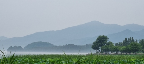 [Travel] 양평에 핫도그만 드시러 가나요? - 뉴스 썸네일 이미지