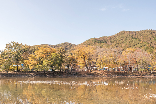 [Travel] "나이가 들어야만 보이는 것이 있지" 화순으로 떠나는 가을 ... - 뉴스 썸네일 이미지