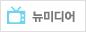 뉴미디어