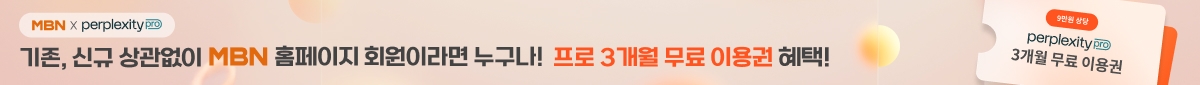 퍼플렉시티 프로모션