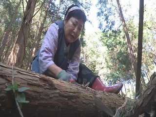 썸네일 이미지