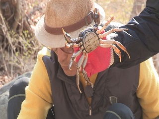 썸네일 이미지