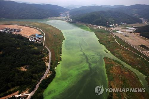 대법 4대강 사업은 적법/사진=연합뉴스