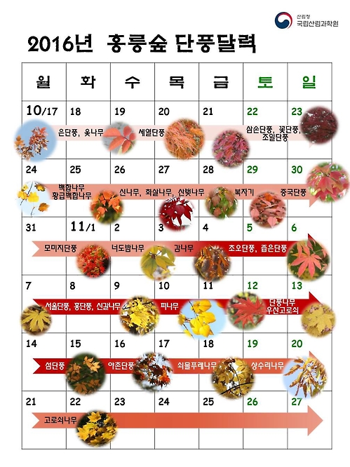 사진=연합뉴스