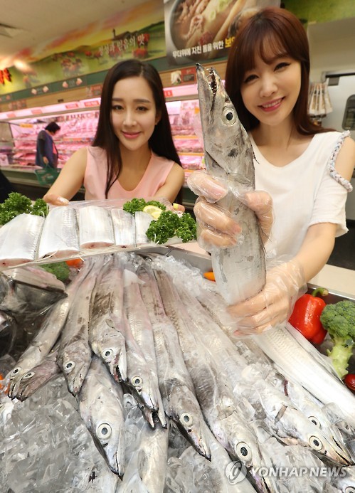 갈치 / 사진=연합뉴스